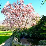 Il Casale Di Luxury